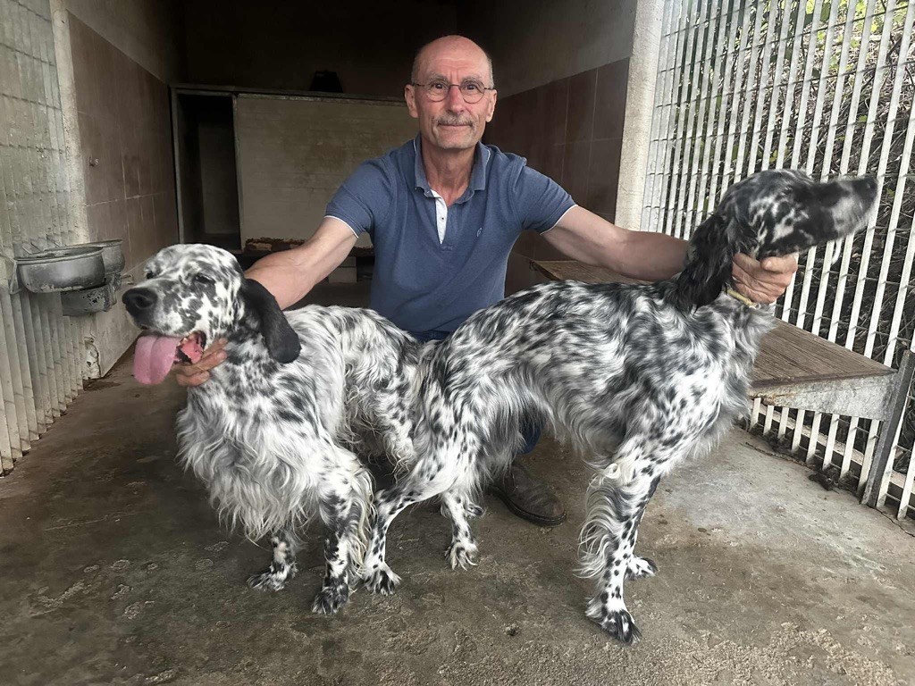 Saillie de Thalie du Flairauvent & Marvel Ambrofellis